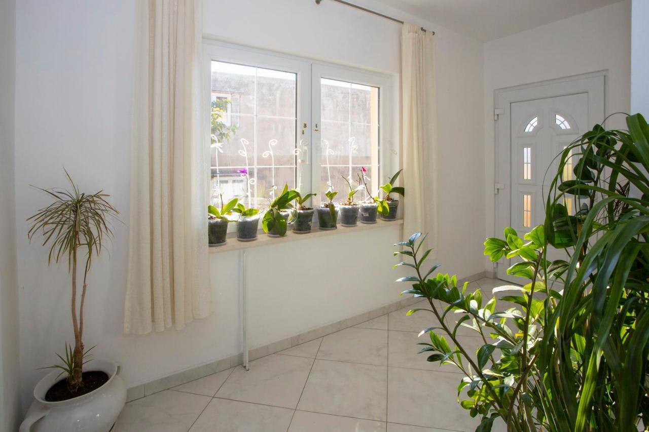 Villa Milenka - Apartmani Gorana ทูแชพี ภายนอก รูปภาพ